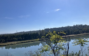 6ad2124f63179_IMG9006.jpeg