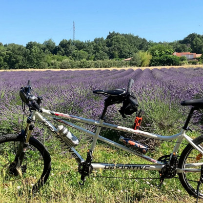 Sortie Tandem sous un air de Provence. Les champs de lavande de la Drôme des Collines