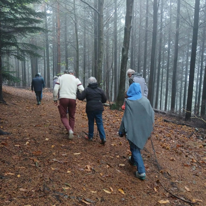 Visite d’une châtaigneraie